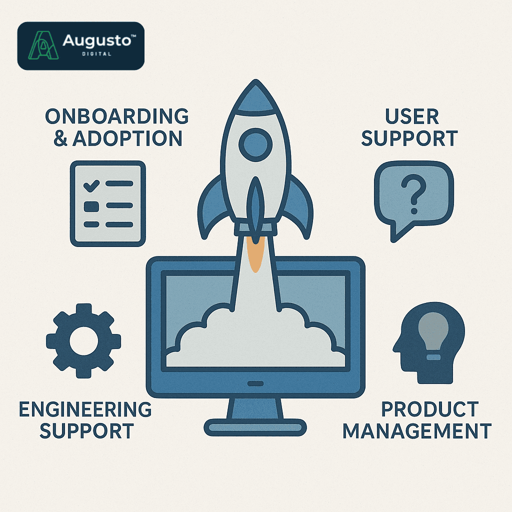 Investing in Software After Launch